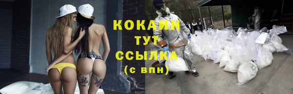 альфа пвп Магас