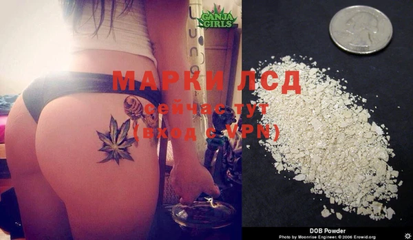 альфа пвп Магас