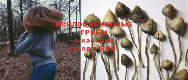 меф Майский