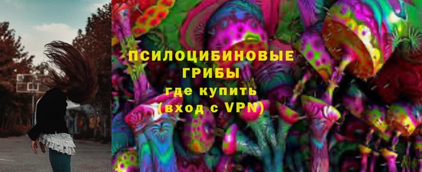 гашик Тайга