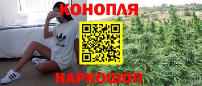 ECSTASY Будённовск