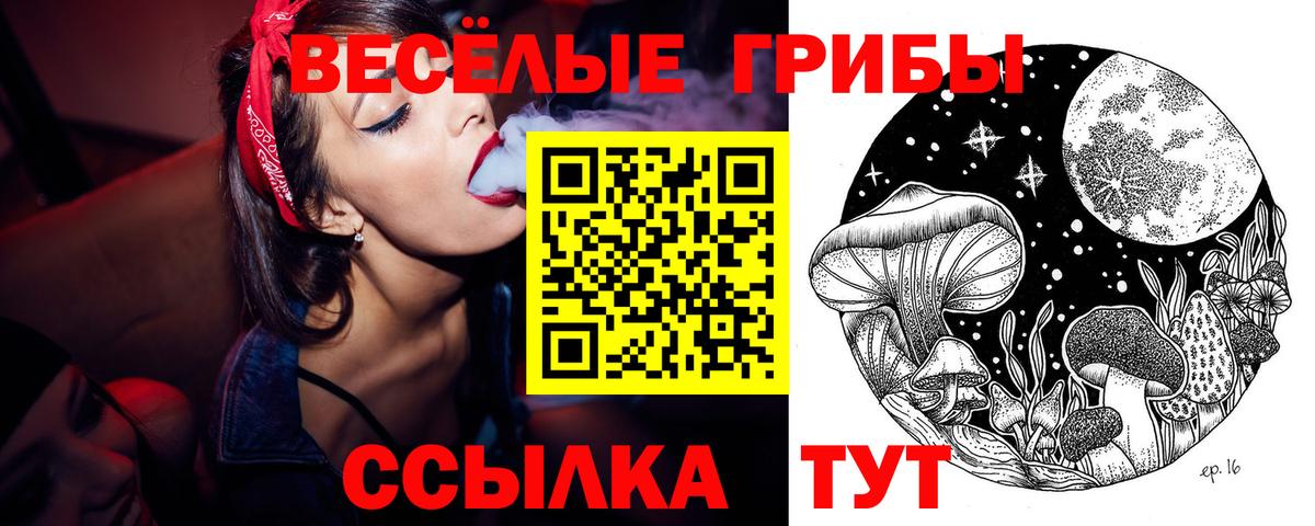 Галлюциногенные грибы Psilocybe  Гагарин  Галлюциногенные грибы Cubensis 