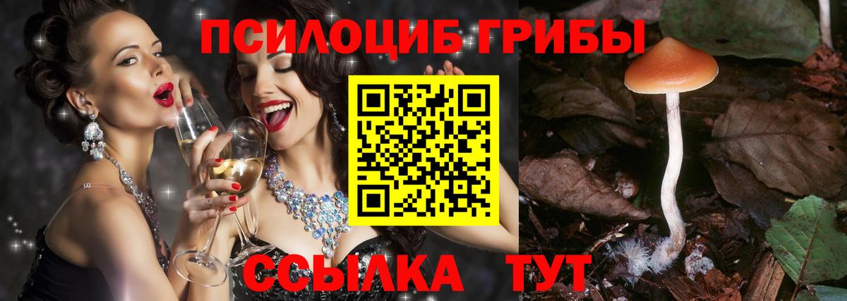 Гагарин  Псилоцибиновые грибы Psilocybe  наркотики  Вход с VPN 