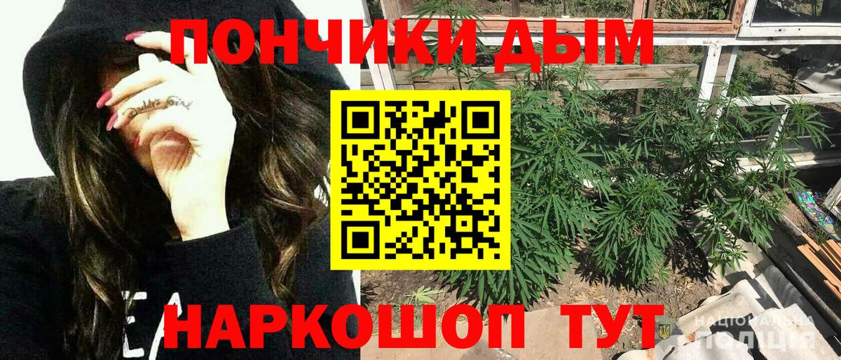 Гагарин  Шишки марихуана тримм  Бошки Шишки гибрид  Вход с VPN 